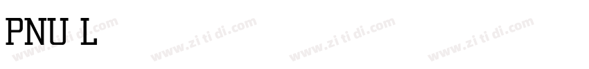 PNU Light字体转换